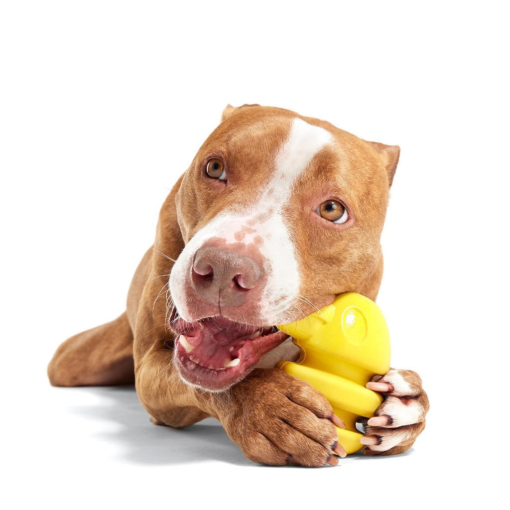 Rock Creek Eagle Super Chewer Durable 2-in-1 + Enrichment Dog Toy