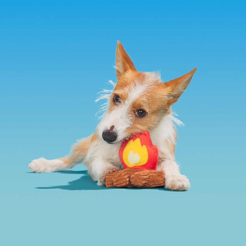 A'Hound the Campfire Plush Tug Dog Toy
