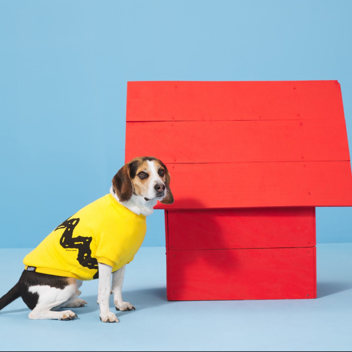 Peanuts Dog Sweatshirt