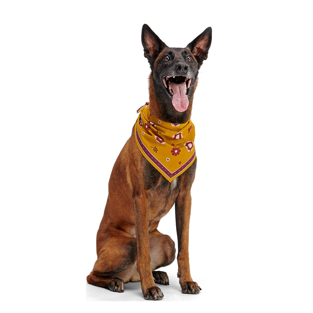 Fall Reversible Dog Bandana
