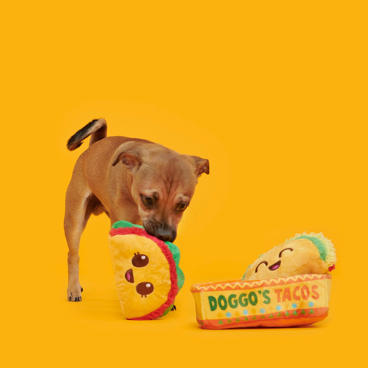 Doggo's Tacos Plush Multi-Part Enrichment Dog Toy