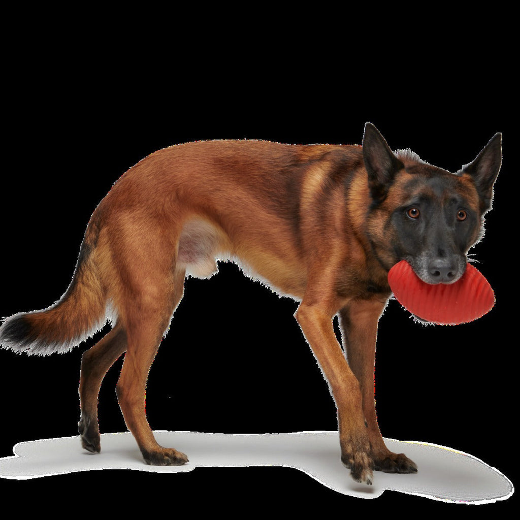 Red Zone Football Super Chewer Durable Fetch Dog Toy