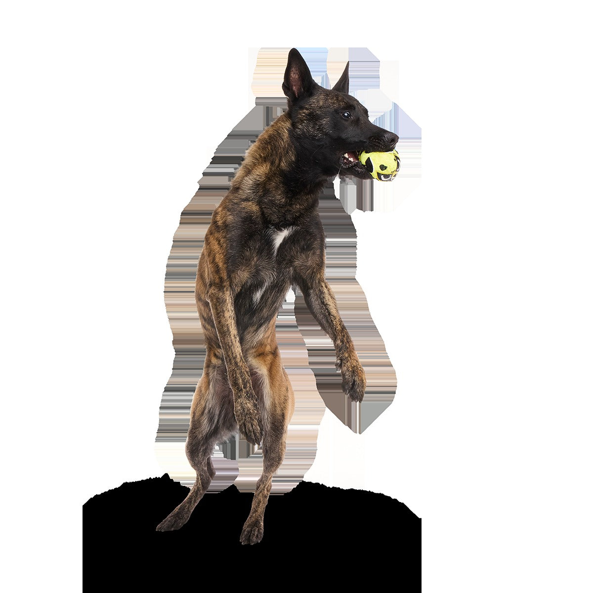 Duma Njaa Plush 3-in-1 + Fetch Dog Toy