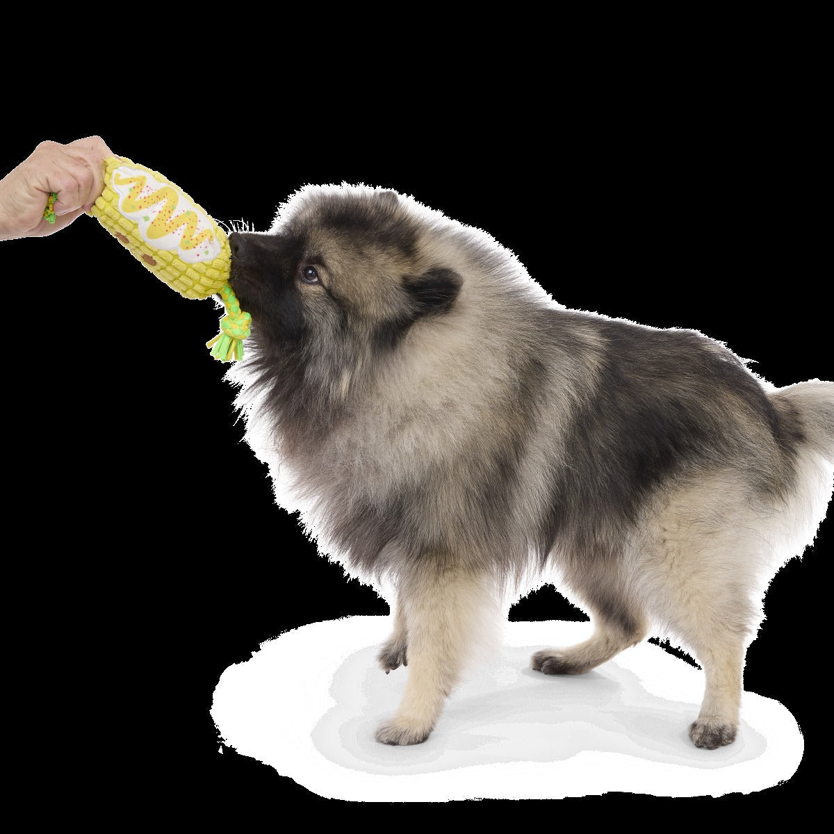 Corn on the Tug Plush Dog Toy