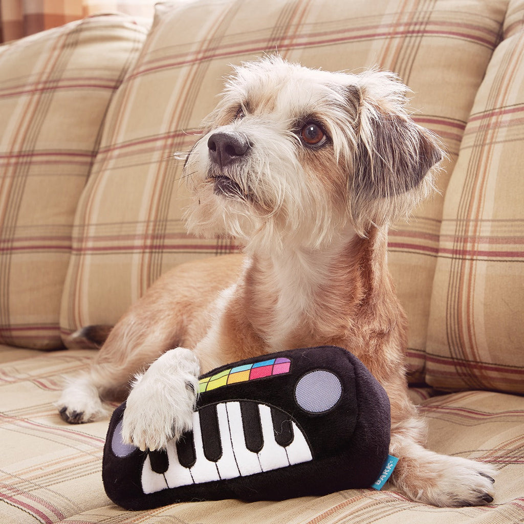 Squeaky Wonder Keyboard Plush Dog Toy