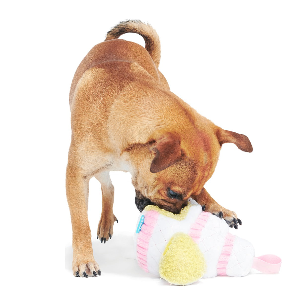 Holy Ratrimony Plush Multi-Part + Enrichment Dog Toy