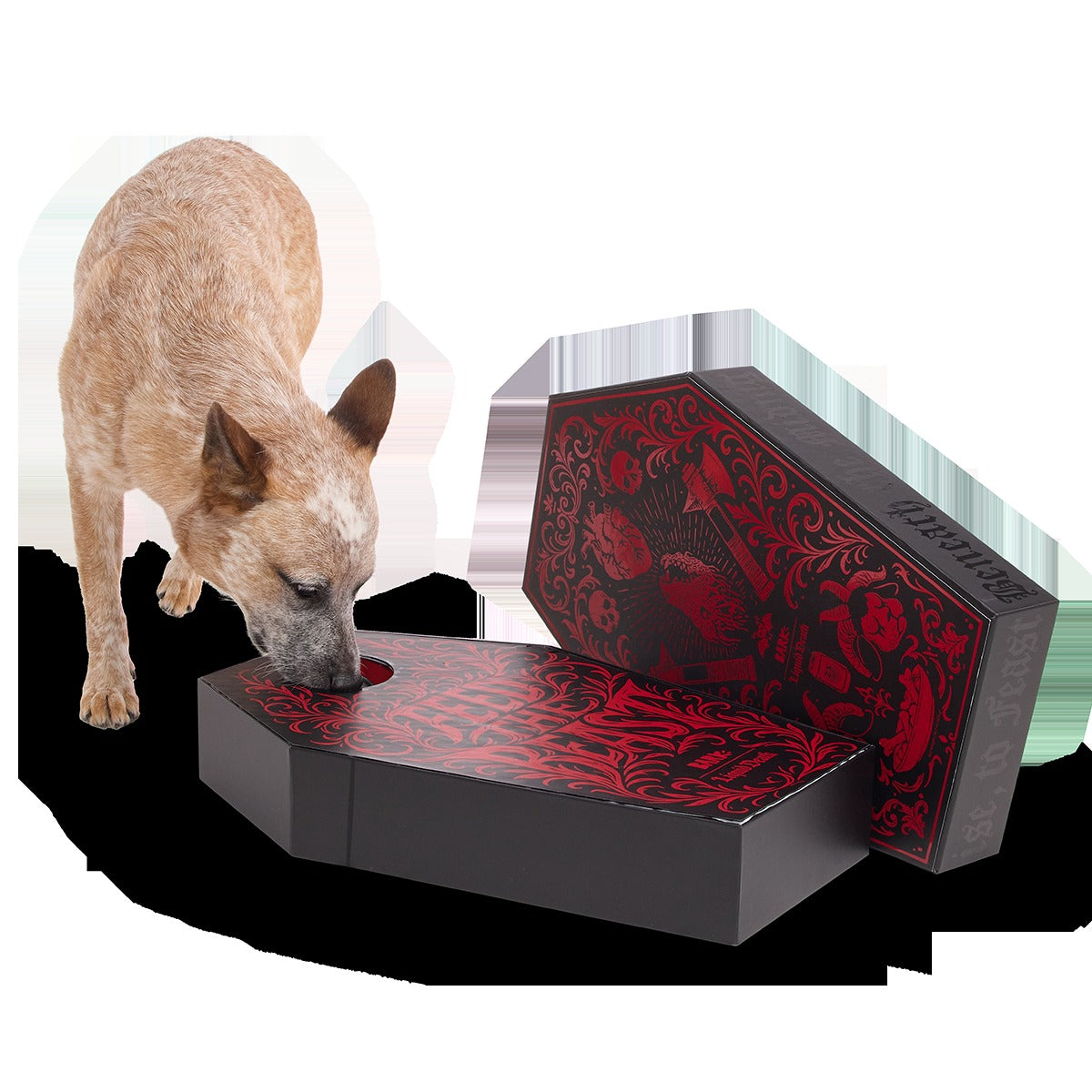 BARK x Liquid Death Feed the Beast Consumables Packup