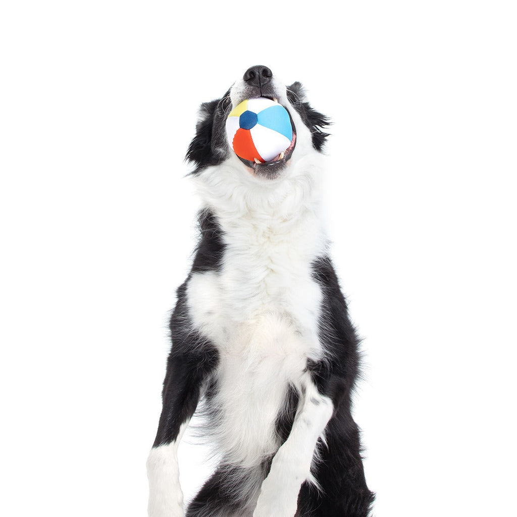 Spike The Beach Ball Super Chewer Durable 2-in-1 + Fetch Dog Toy