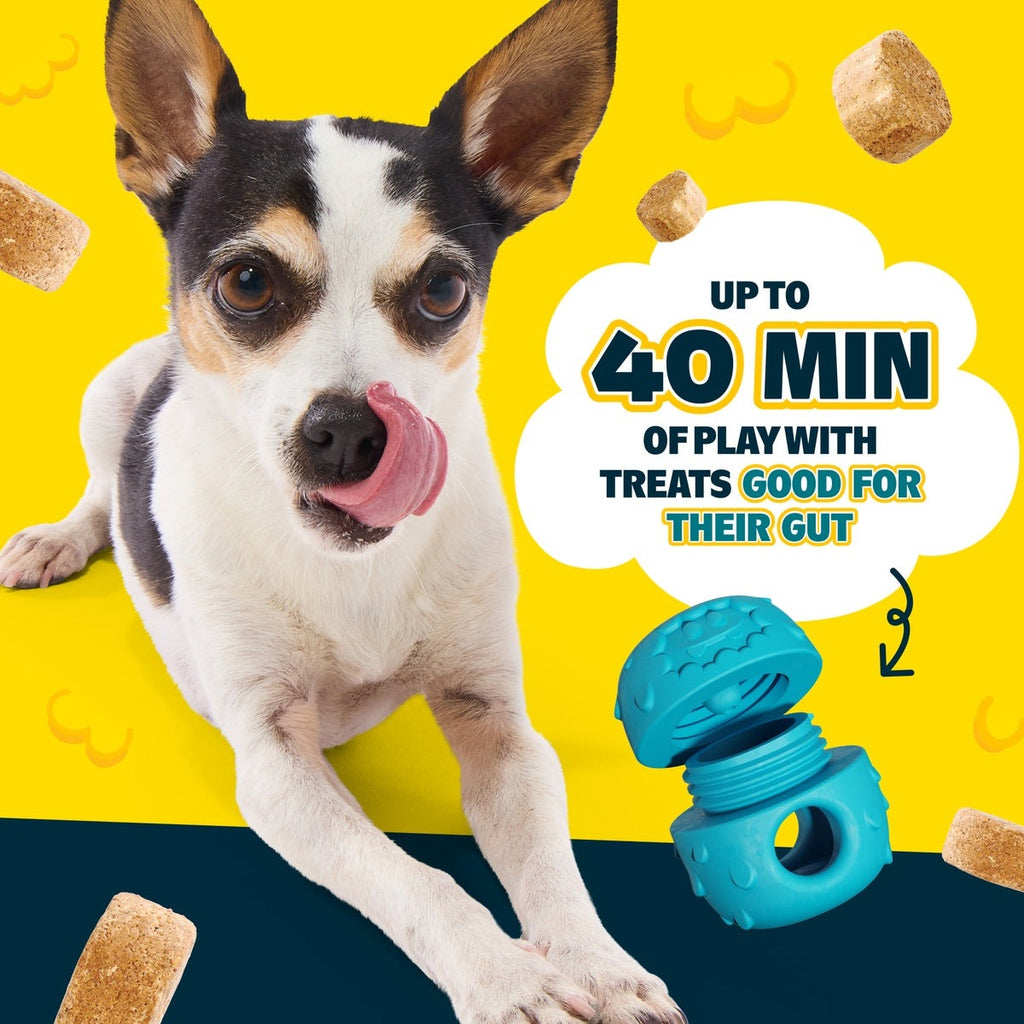 Licksters: Starter Kit (Toy + 2 Treat Packs)