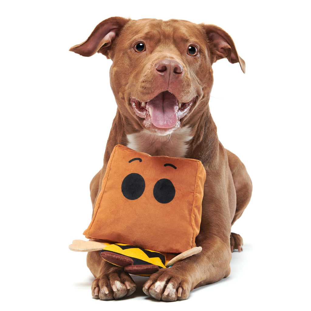Dr. Jekyll & Mr. Sack Plush Extra-Large + Tug Dog Toy