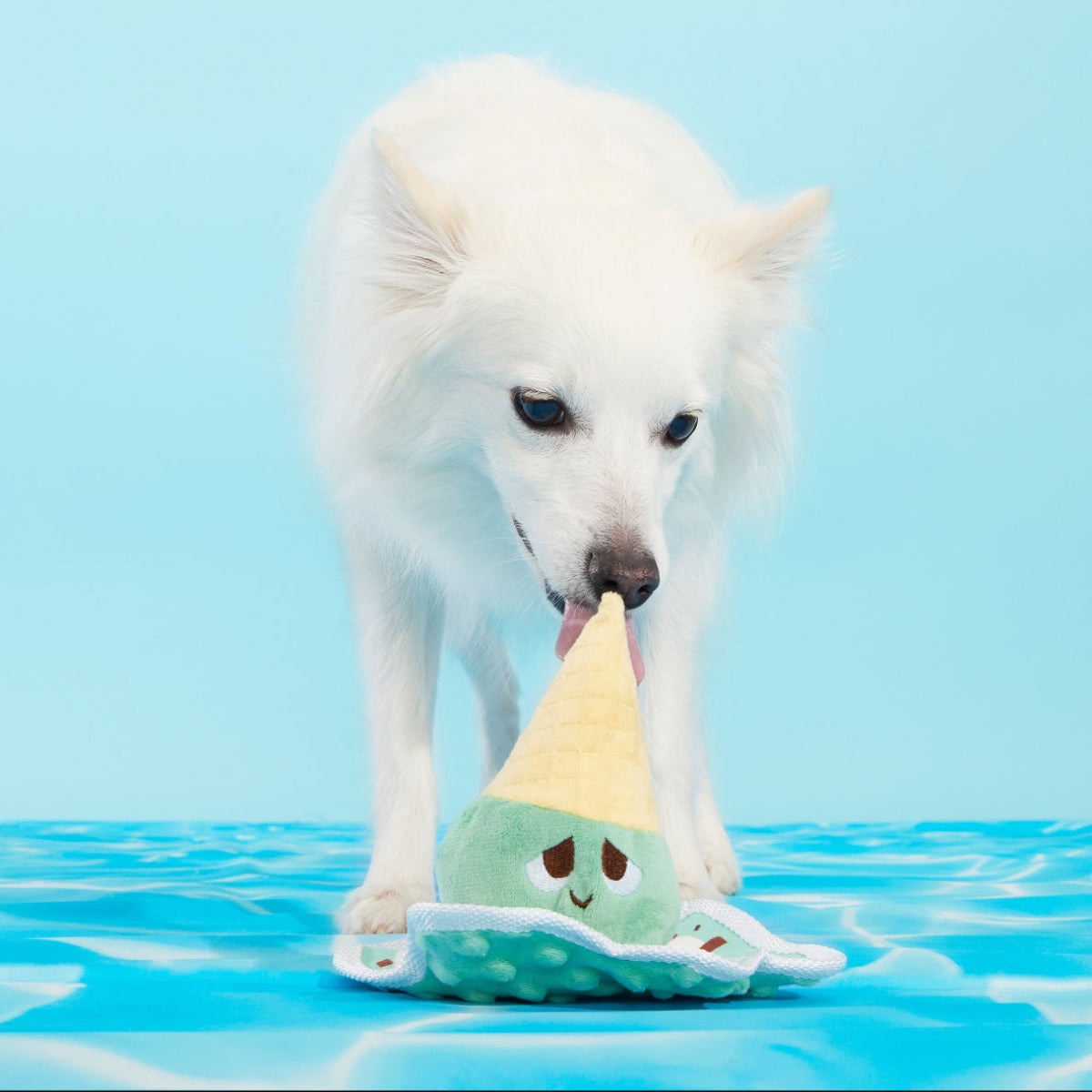 Melty Minty Monty Plush Tug Dog Toy