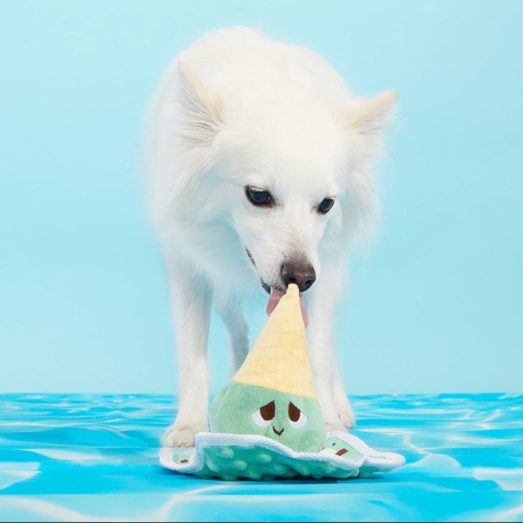 Melty Minty Monty Plush Tug Dog Toy