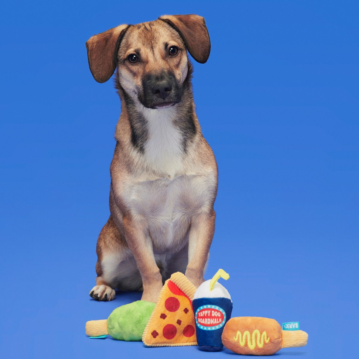 Thrill Squeaker Snacks Plush Multi-Part Dog Toy