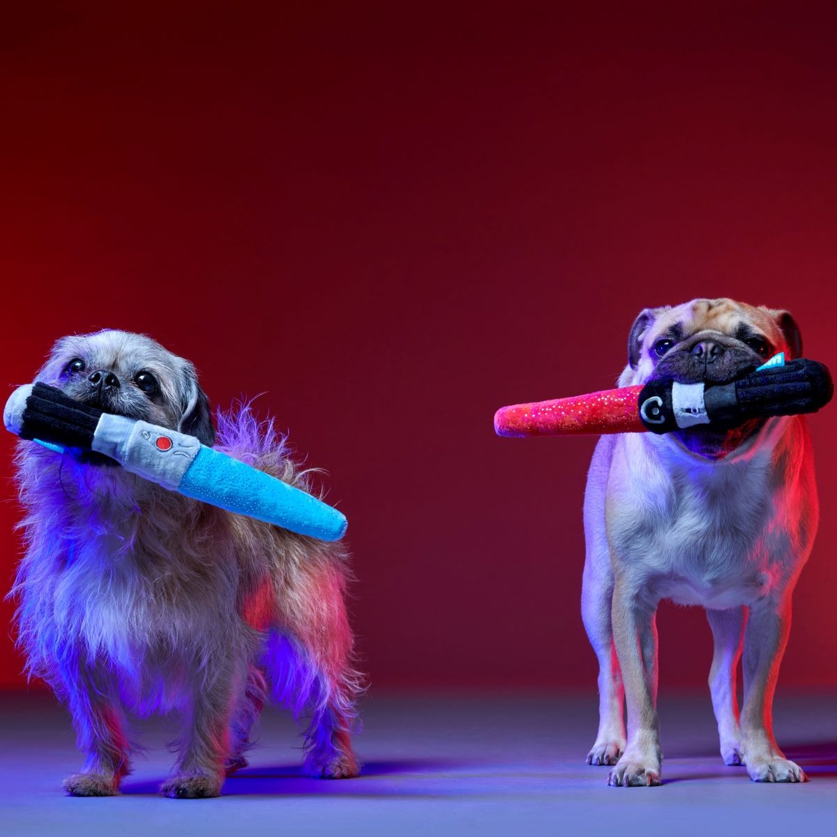 Chews Your Destiny Plush Multi-Part + Tug Dog Toy
