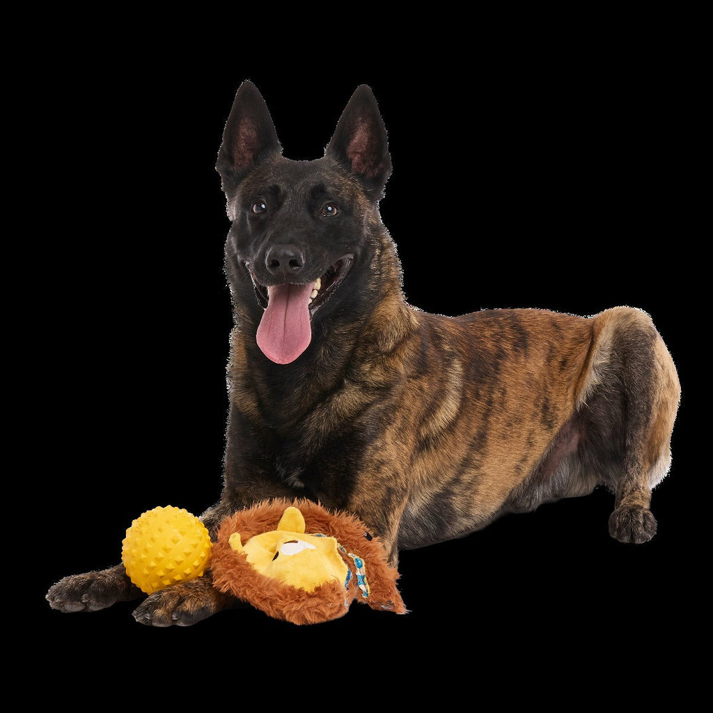 Lionel Lion Super Chewer Durable 2-in-1 + Fetch Dog Toy
