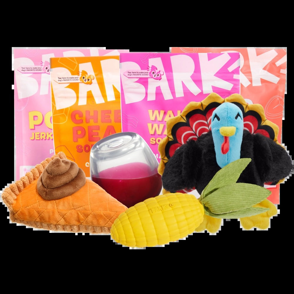 BARK 12 Month Subscription - FREE Extra Toys with Cardboard Box