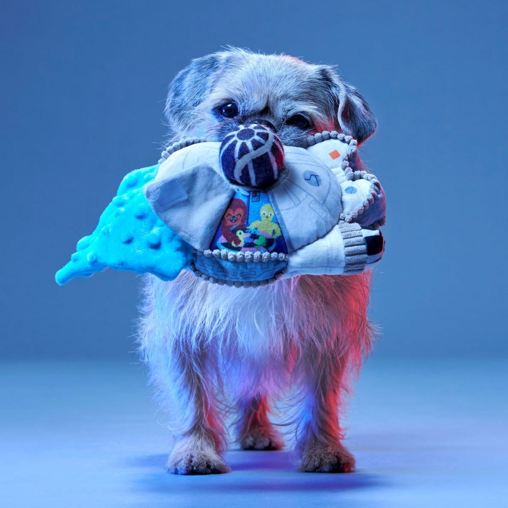 Ultimutt Milennium FalconTM Plush Multi-Part + Fetch Dog Toy