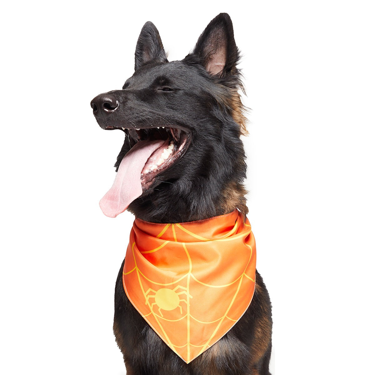 Candy Corn Dog Bandana