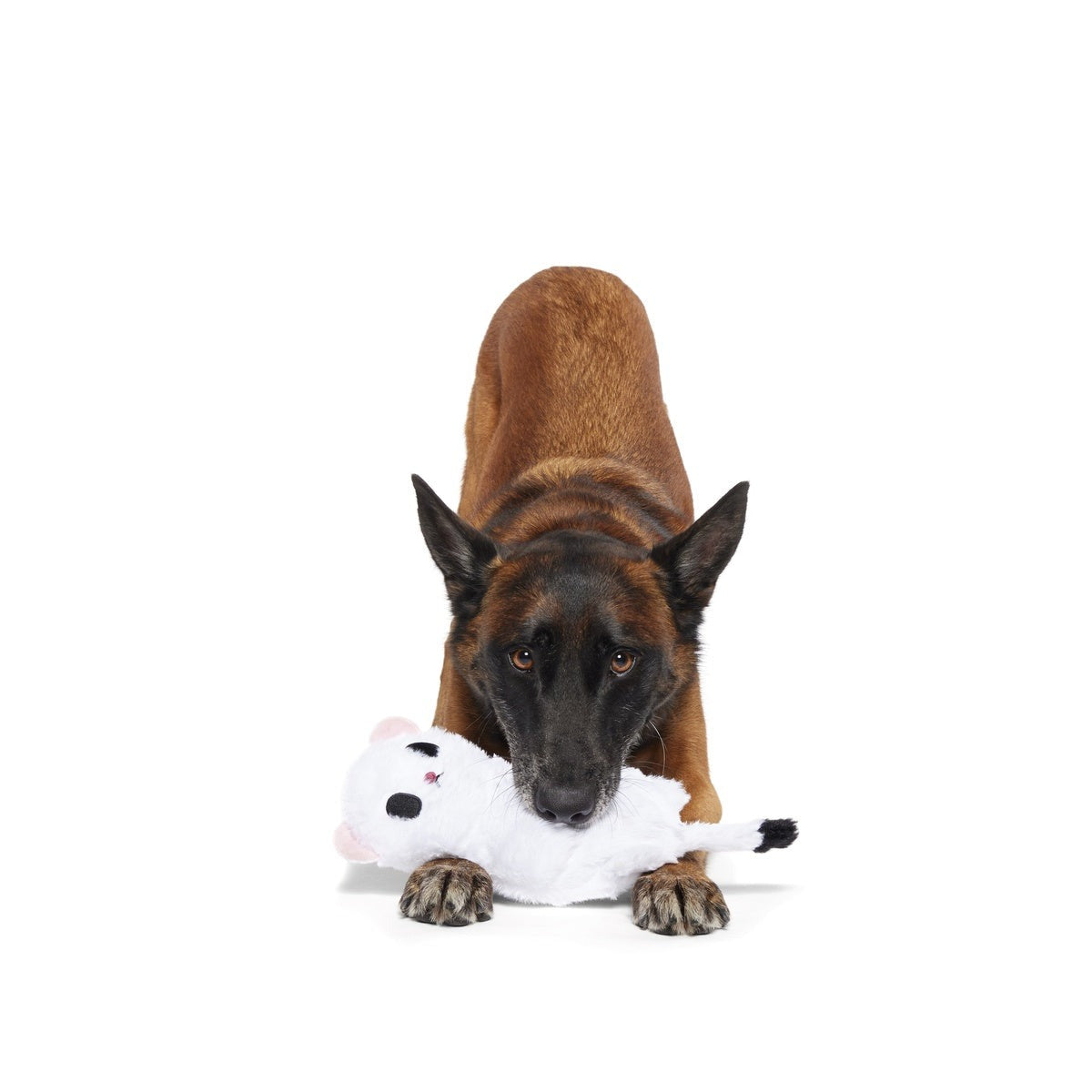 Barktic Weasel Durable Super Chewer Tug Dog Toy