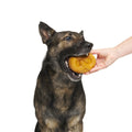 Barkvarian Pretzel Super Chewer Durable Fetch Dog Toy