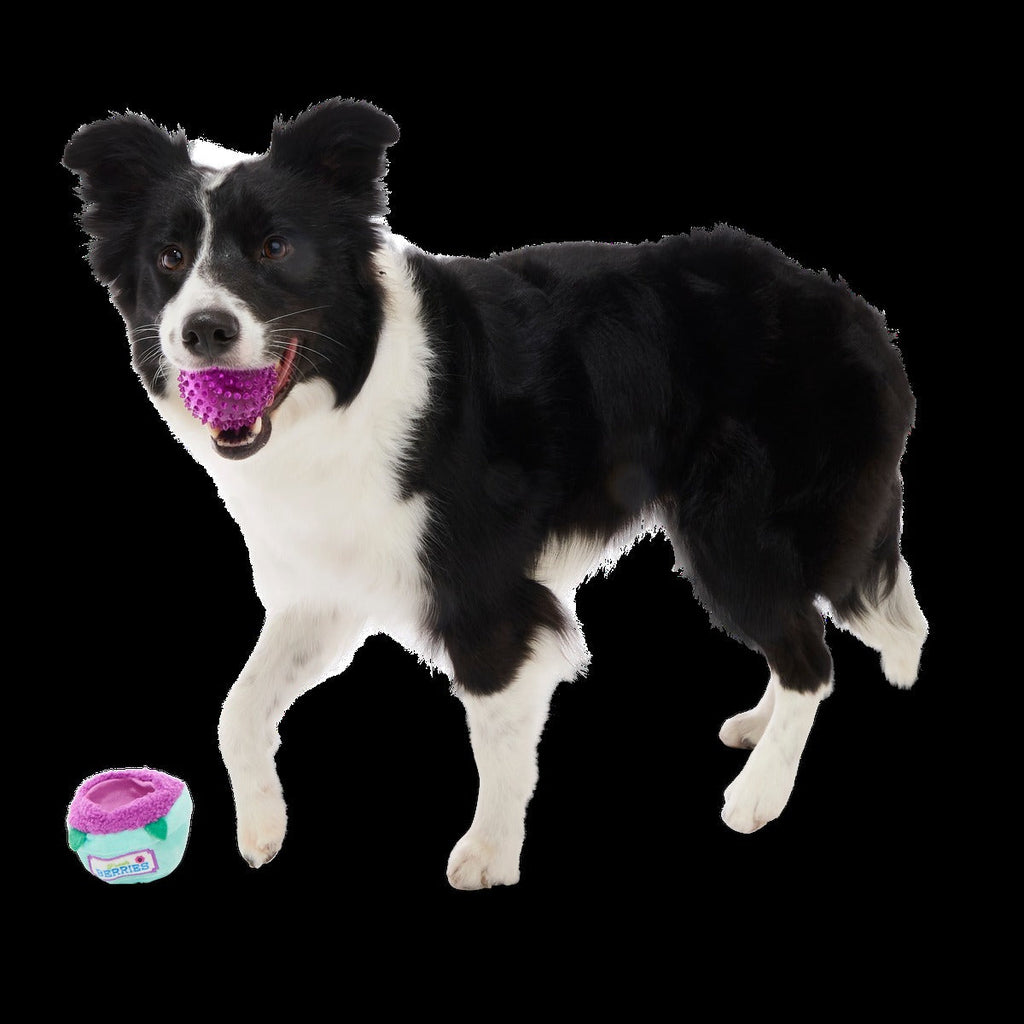 Blueberry Thrill Plush Multi-Part + Fetch + Enrichment Dog Toy