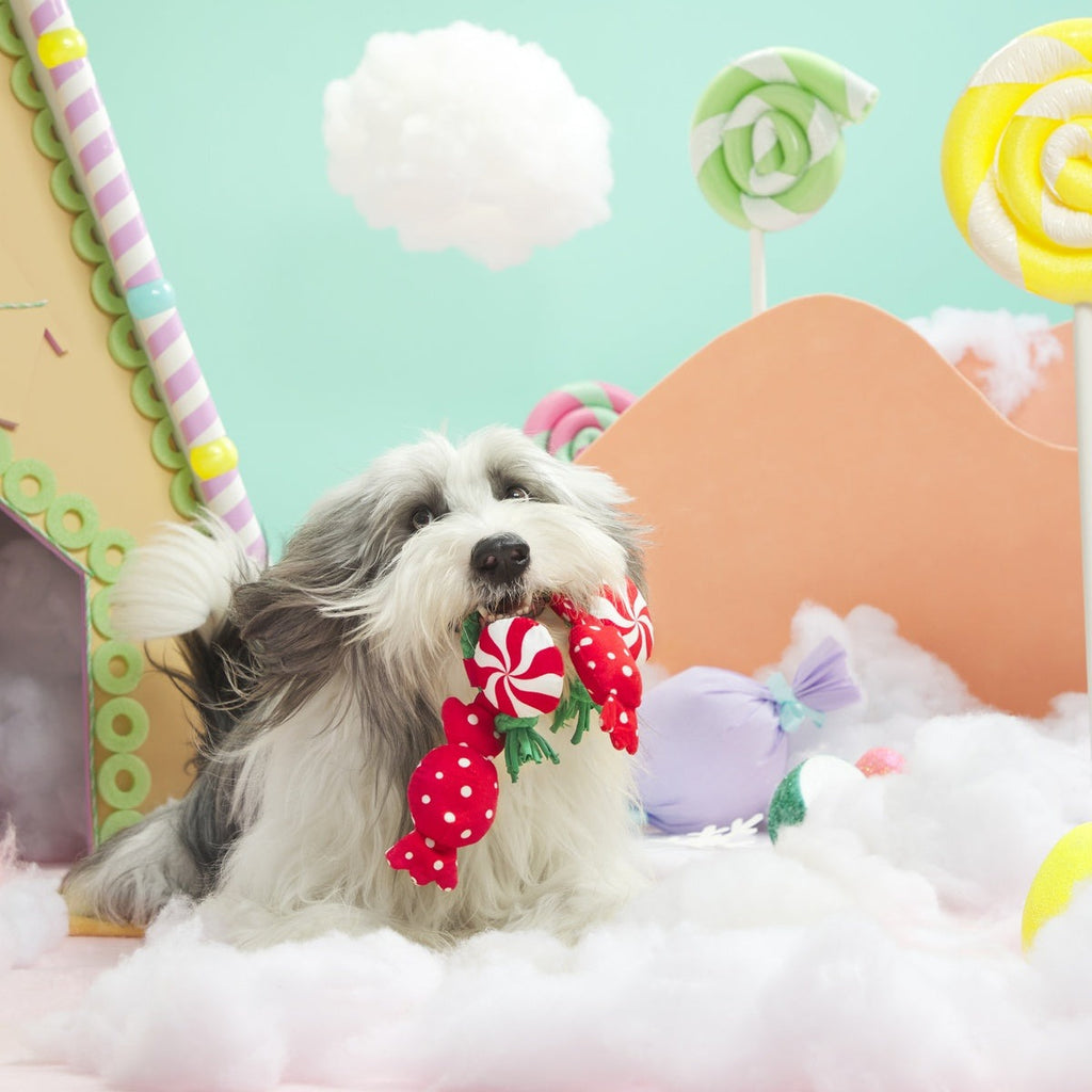 Puppermint Sweeties Plush Tug Dog Toy