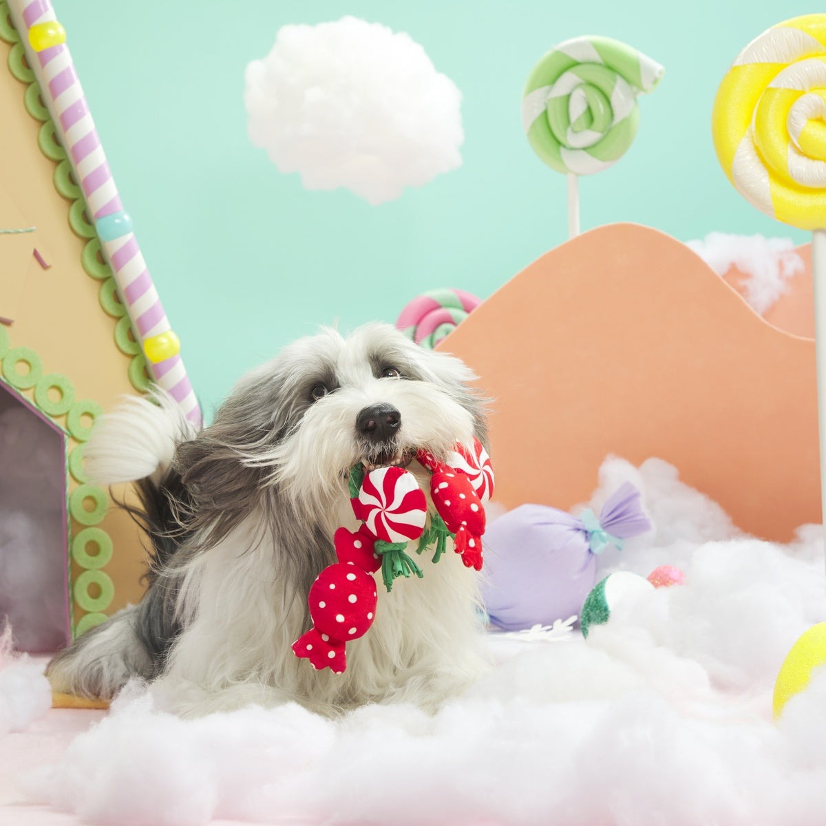 Puppermint Sweeties Plush Tug Dog Toy
