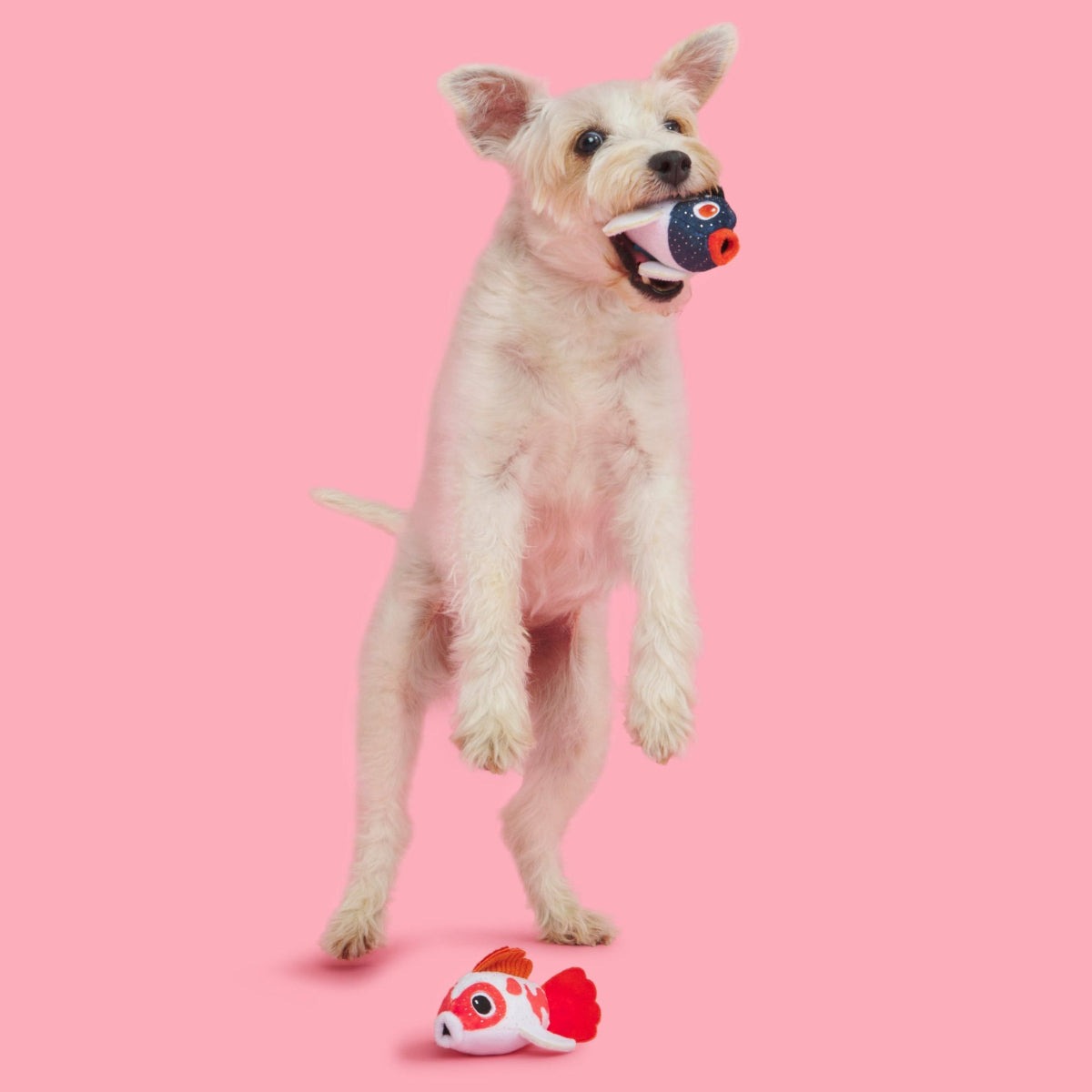 Toi Koi Plush Multi-Part Dog Toy