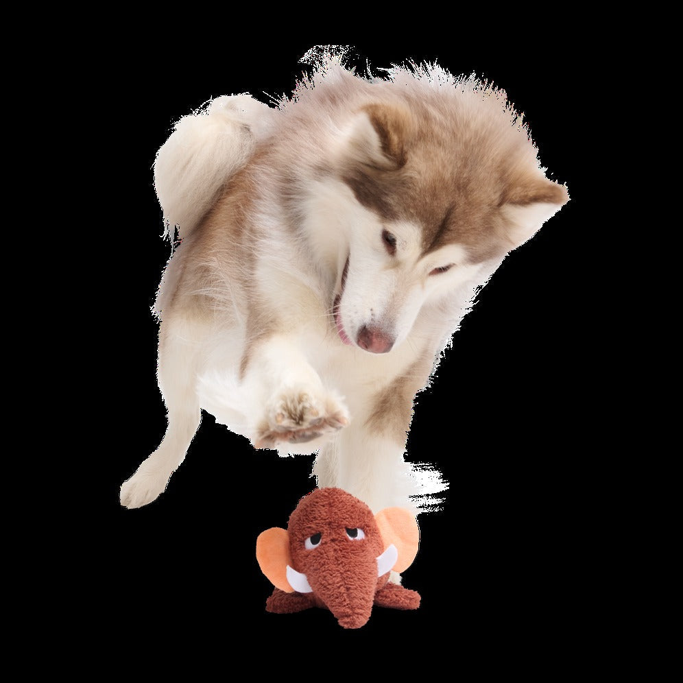 Mama Jama Mammoth Plush 2-in-1 Rip and Reveal Dog Toy