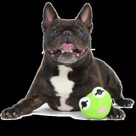 The Muppet Kermit & Miss Piggy Super Chewer Bundle Durable Multi-Part Dog Toy