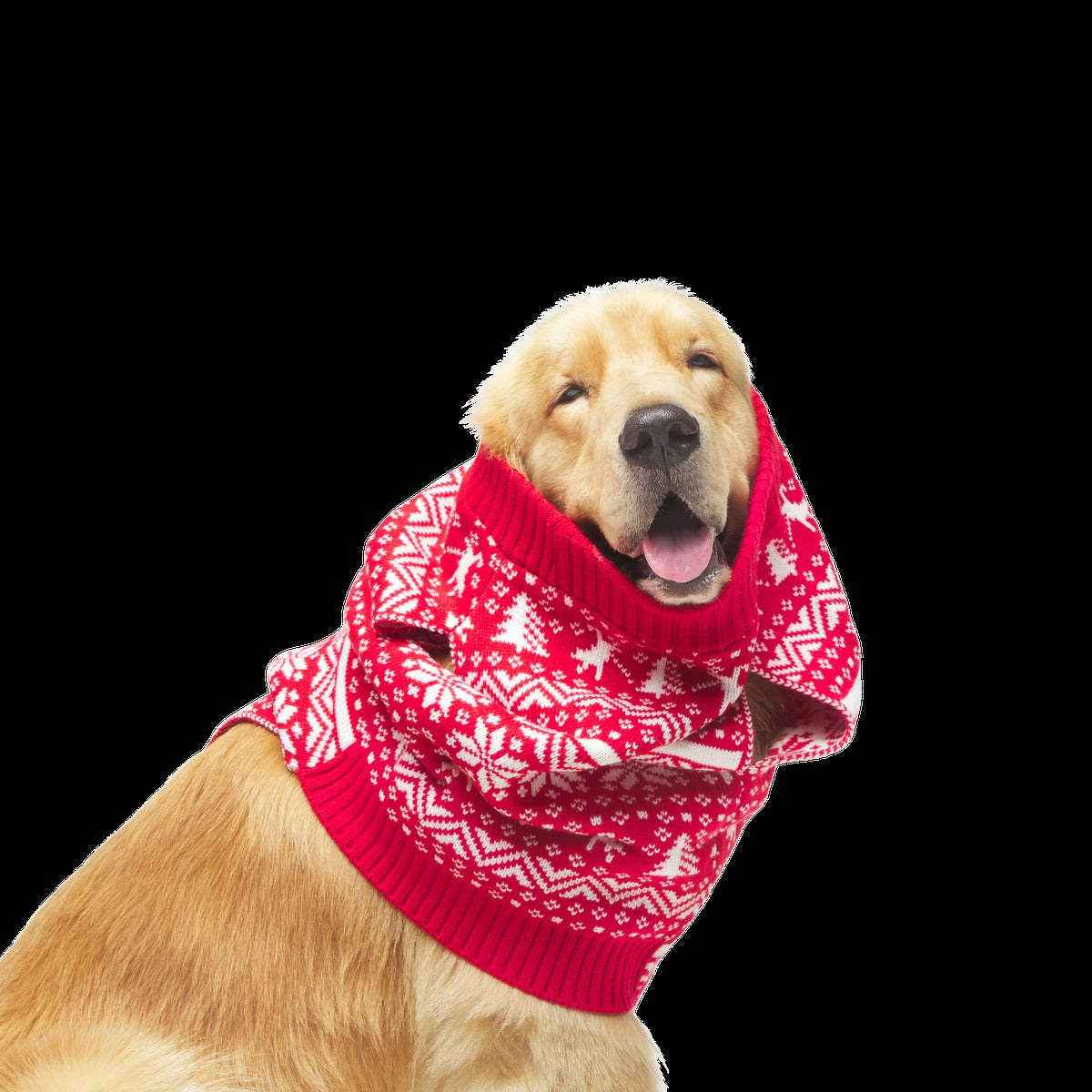 Holiday Sweater Wearable For Dogs