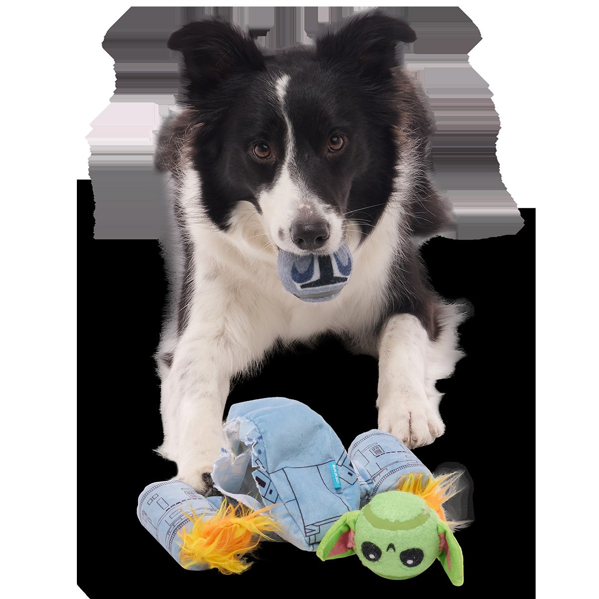Razor CrestTM Plush 3-in-1 + Fetch Dog Toy