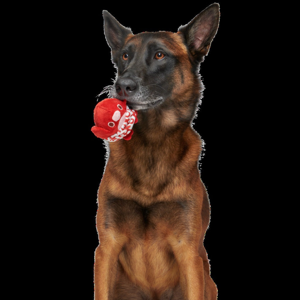Puppy Love Penguin Durable Super Chewer 2-in-1 Rip and Reveal + Enrichment Dog Toy