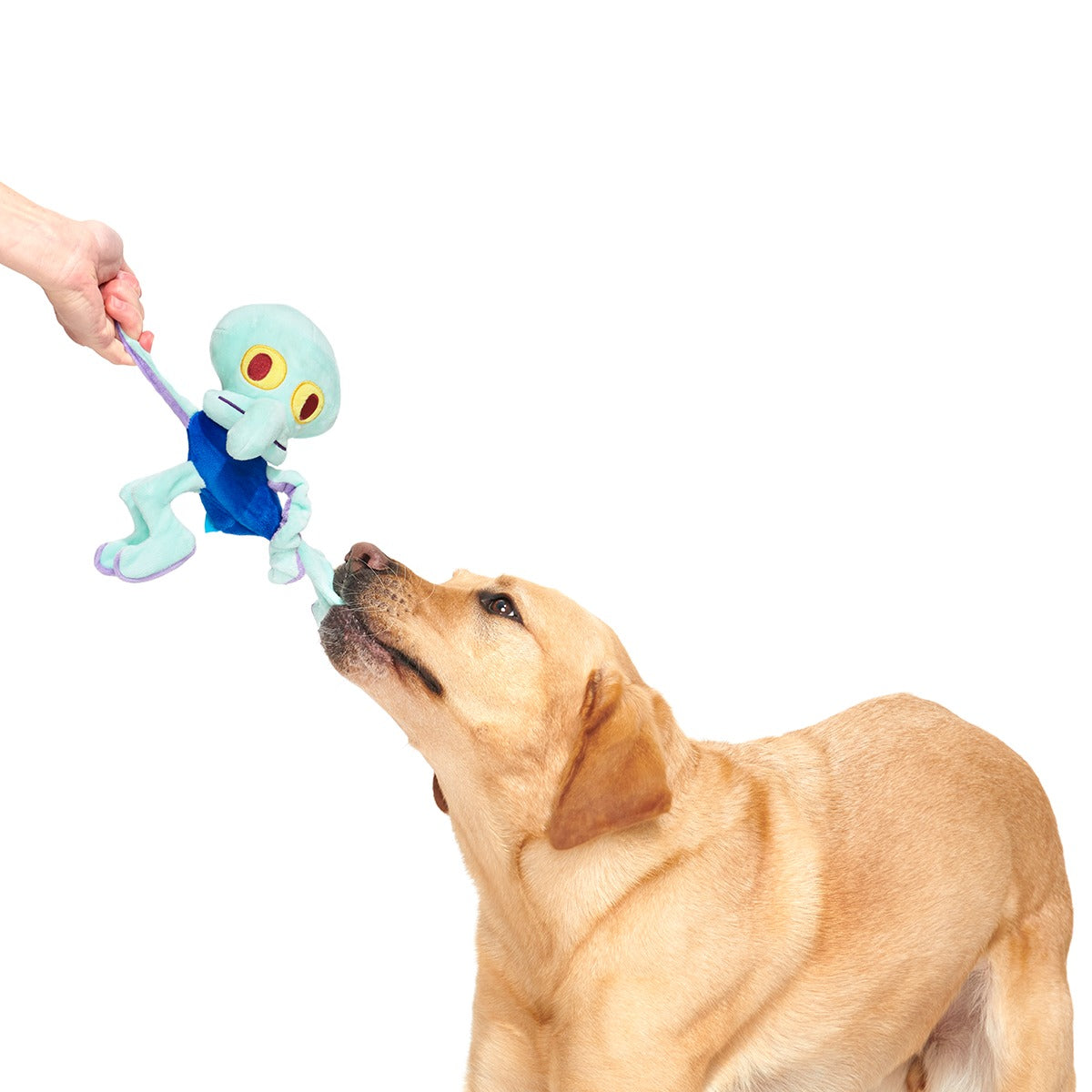 Dancing Squidward Plush Tug Dog Toy
