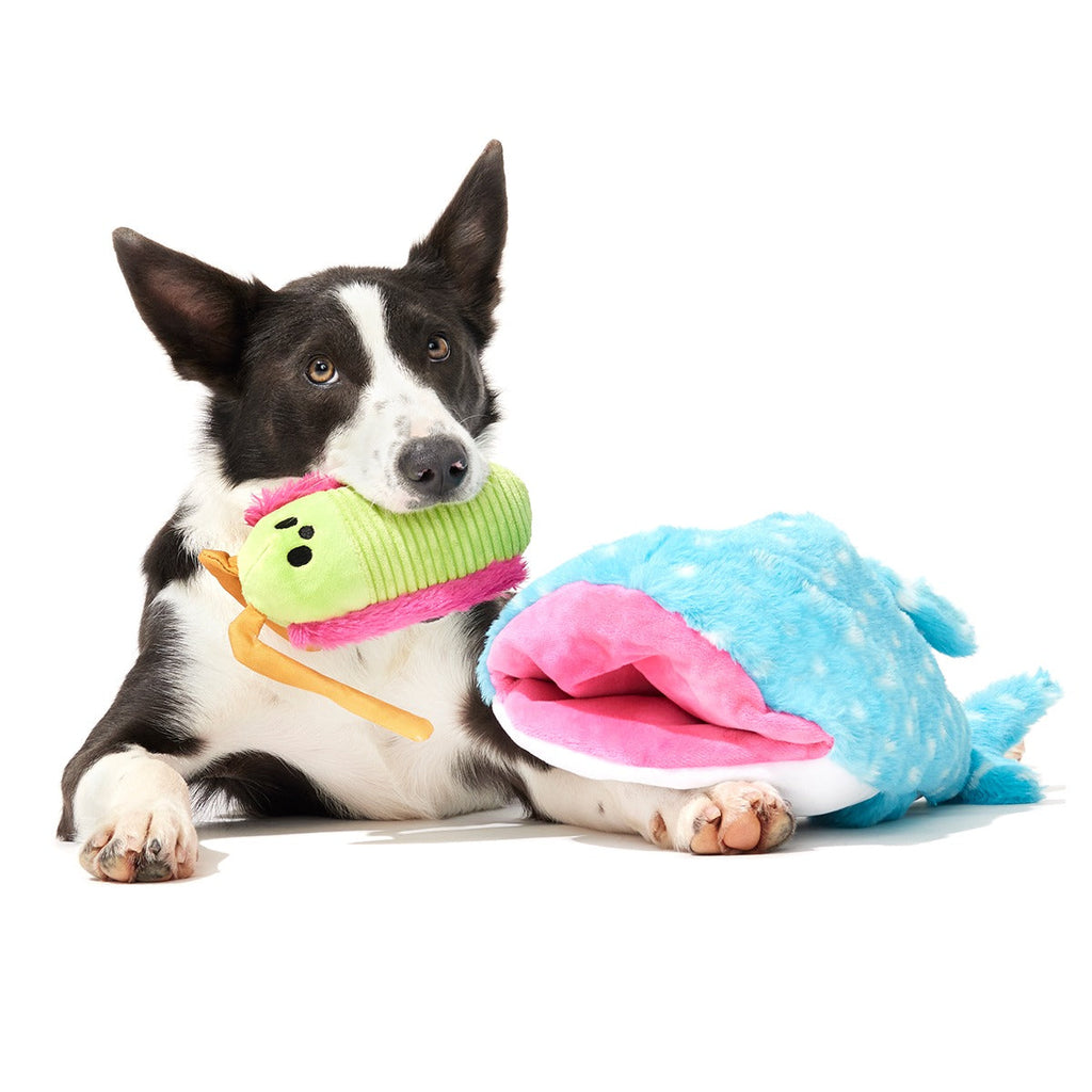 Big Mark The Whale Shark Plush Extra Large + Multi-Part Dog Toy