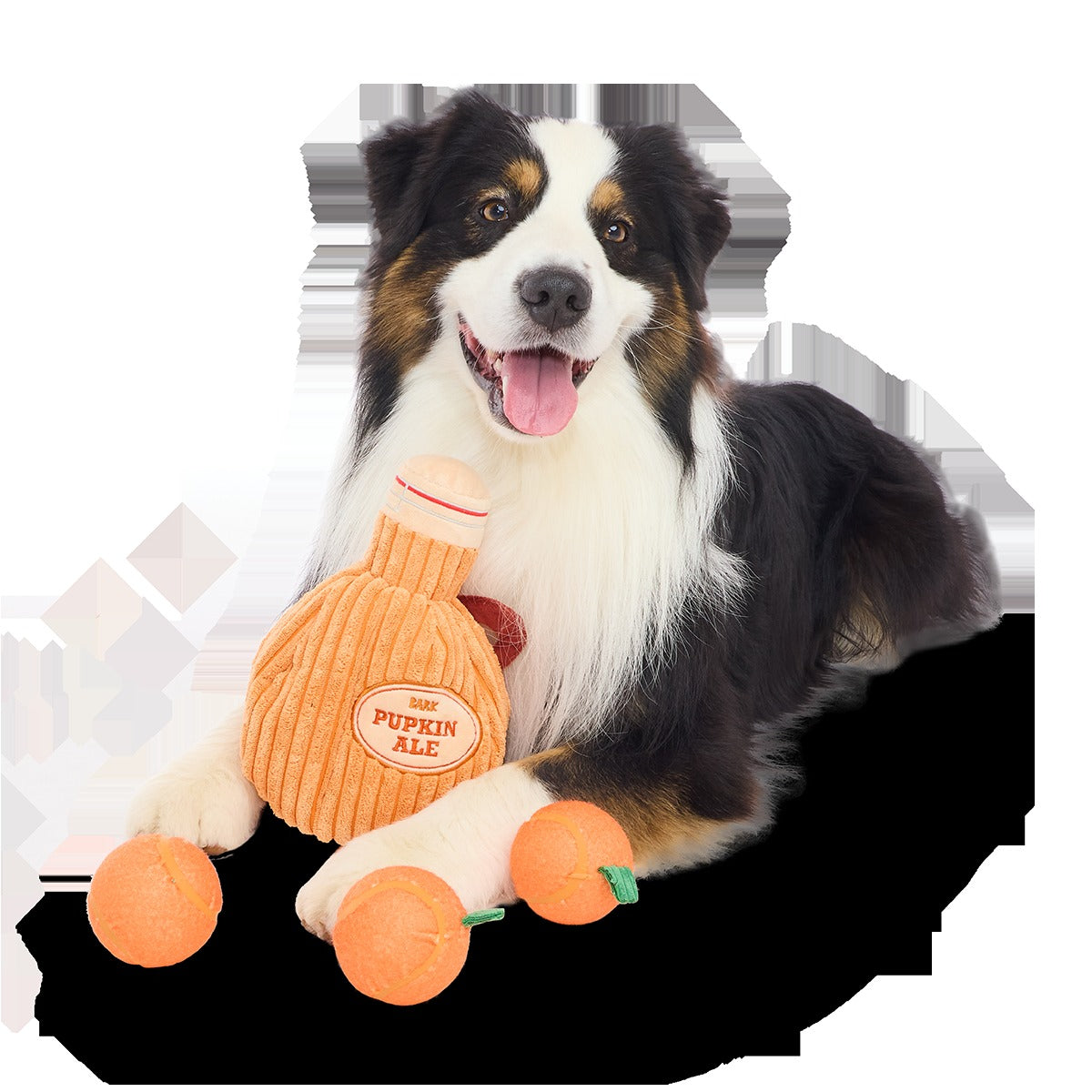 Pupkin Ale Growler Plush Multi-Part + Fetch + Enrichment Dog Toy