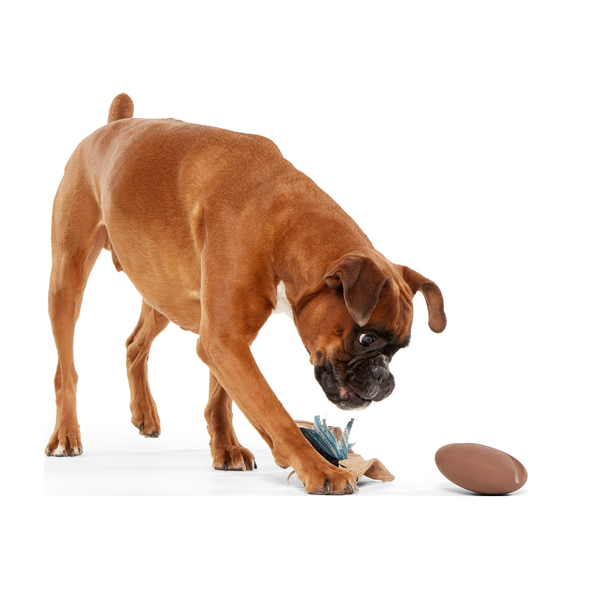 Jitter Pug Coffee Bean Super Chewer Durable 2-in-1 Dog Toy