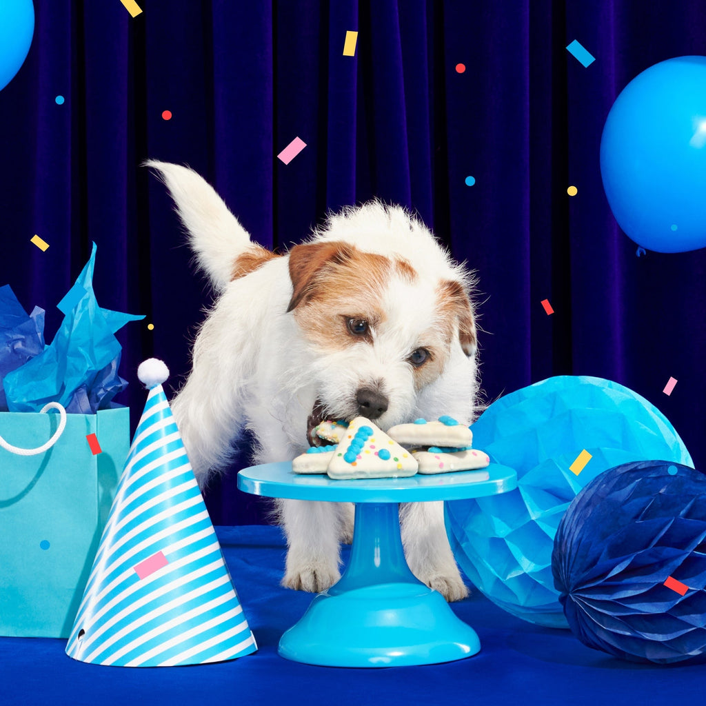 Birthday Super Chewer Gift Box