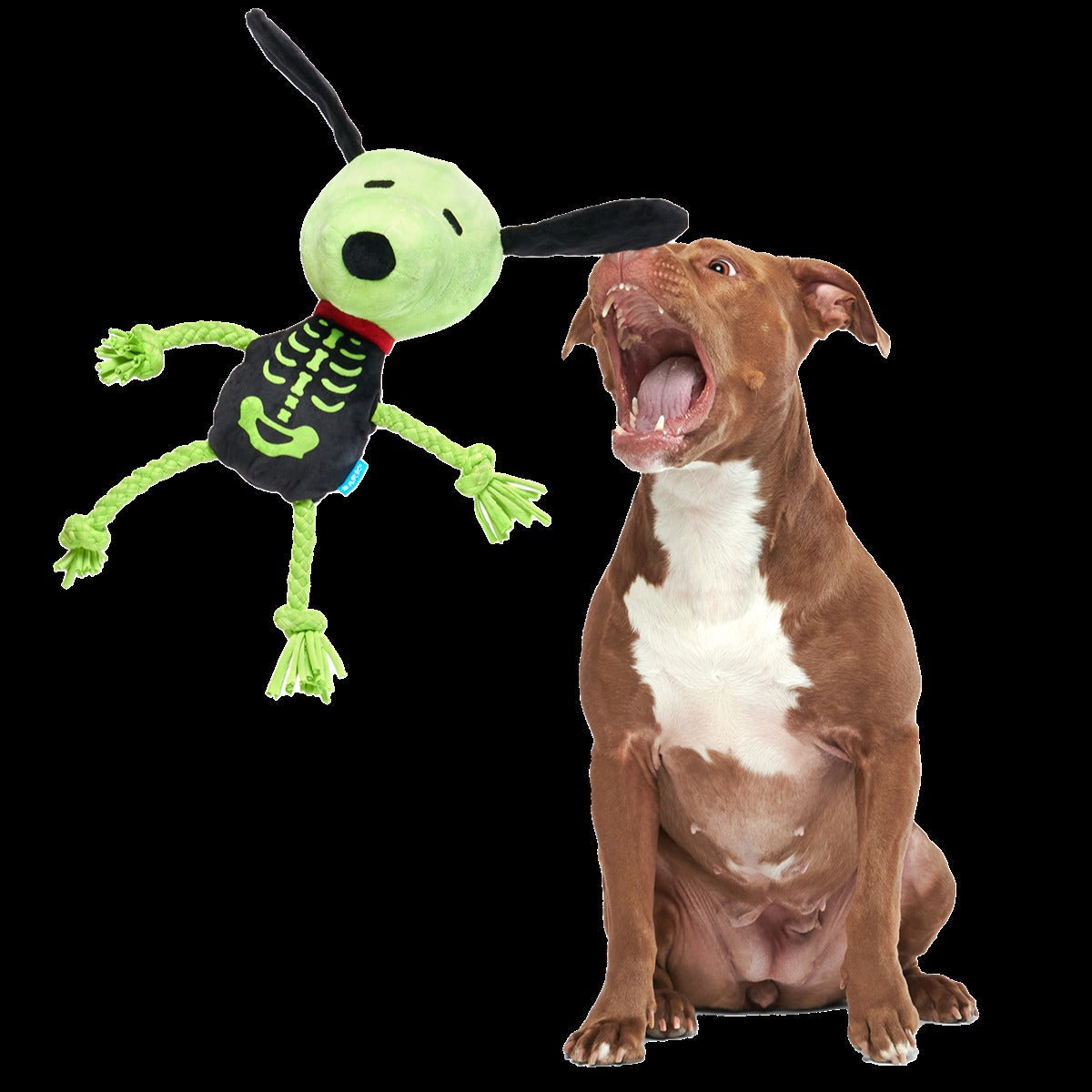 Rattling Bones Beagle Plush Extra-Large + Tug Dog Toy
