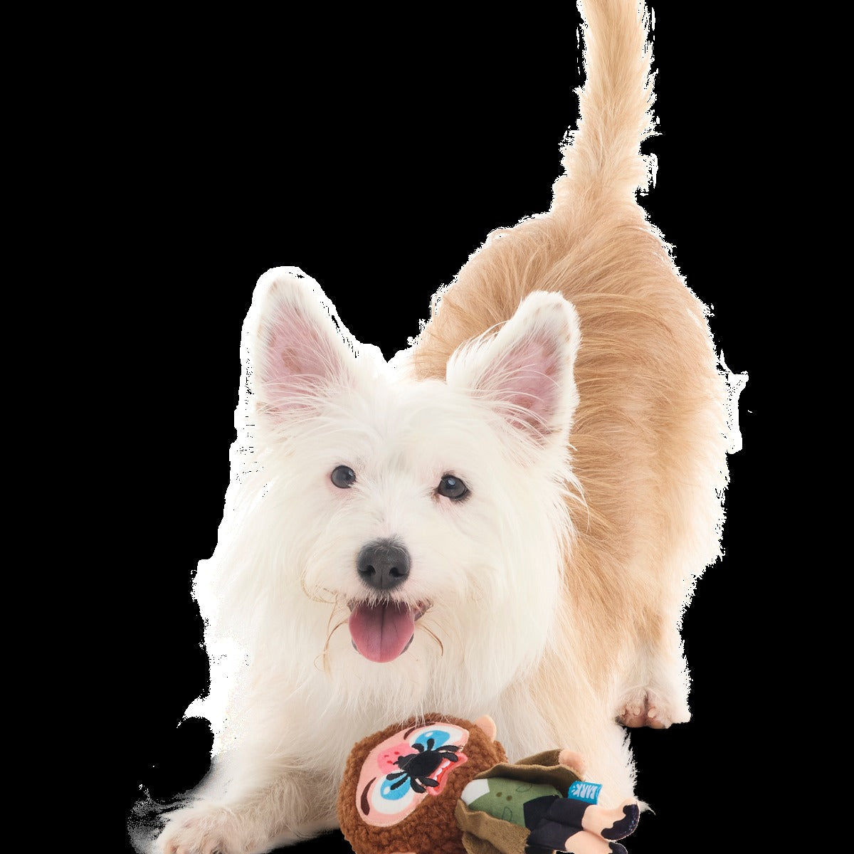 Marv Plush Tug Dog Toy