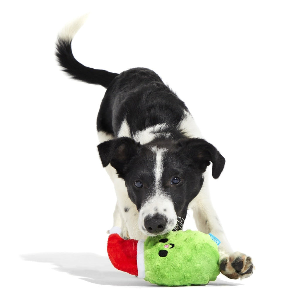 Pickle Claus Plush Tug Dog Toy