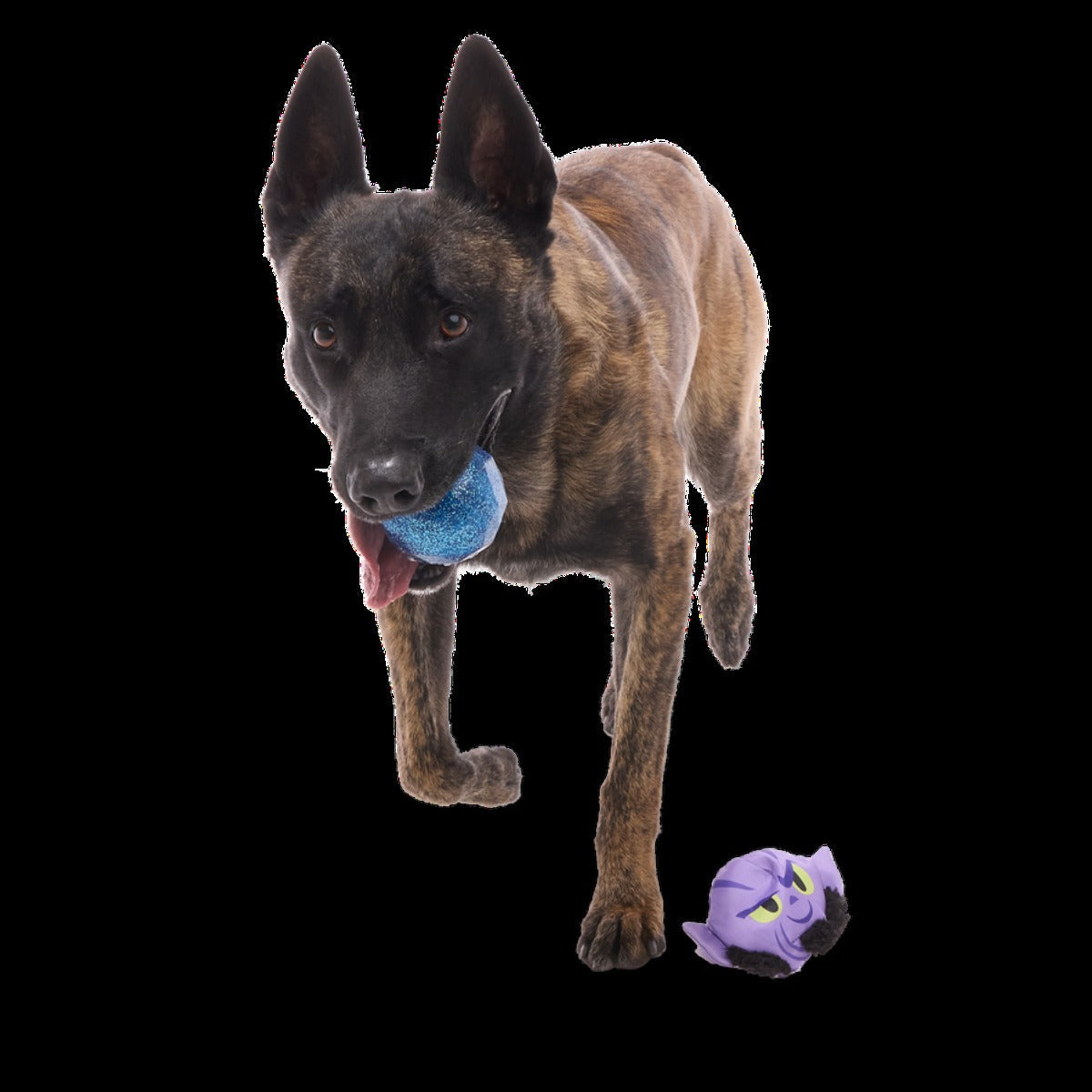 Zeb OrreliosTM Super Chewer Durable 2-in-1 + Fetch Dog Toy