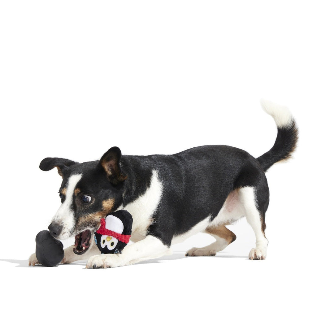 Friendguin Super Chewer Durable 2-in-1 Dog Toy