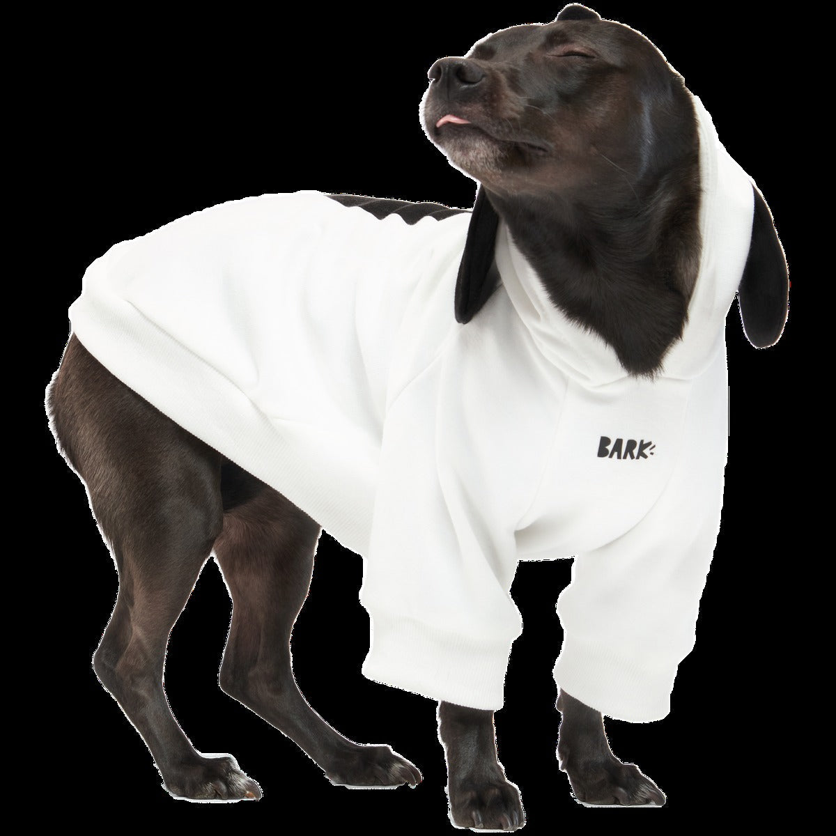 Snoopy Dog Hoodie