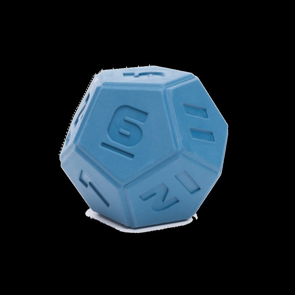 Roll + Play Dice Super Chewer Durable Fetch + Enrichment Dog Toy