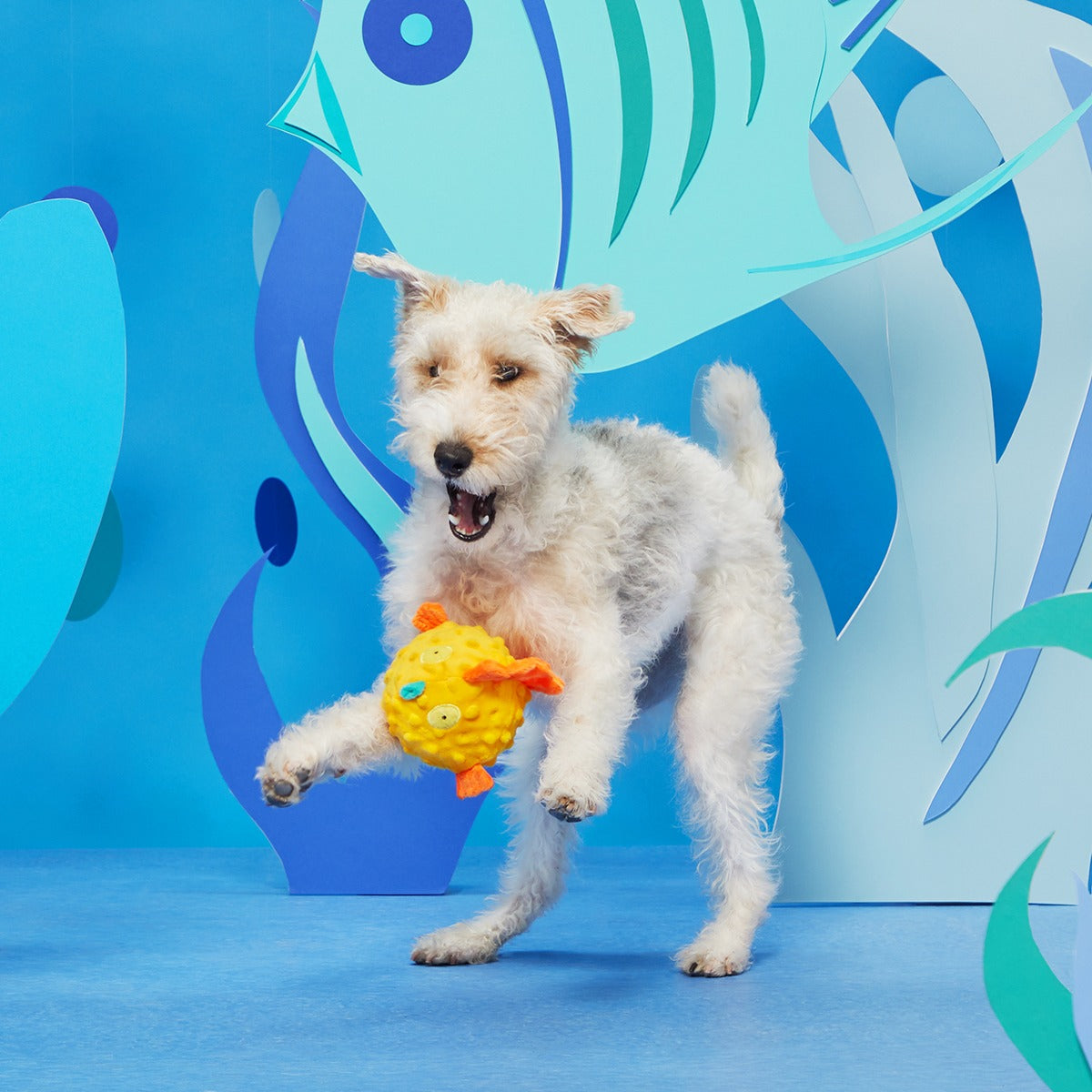 Bloated Barry the Blowfish Plush Fetch Dog Toy