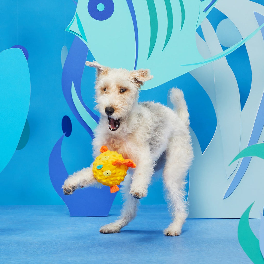 Bloated Barry the Blowfish Plush Fetch Dog Toy