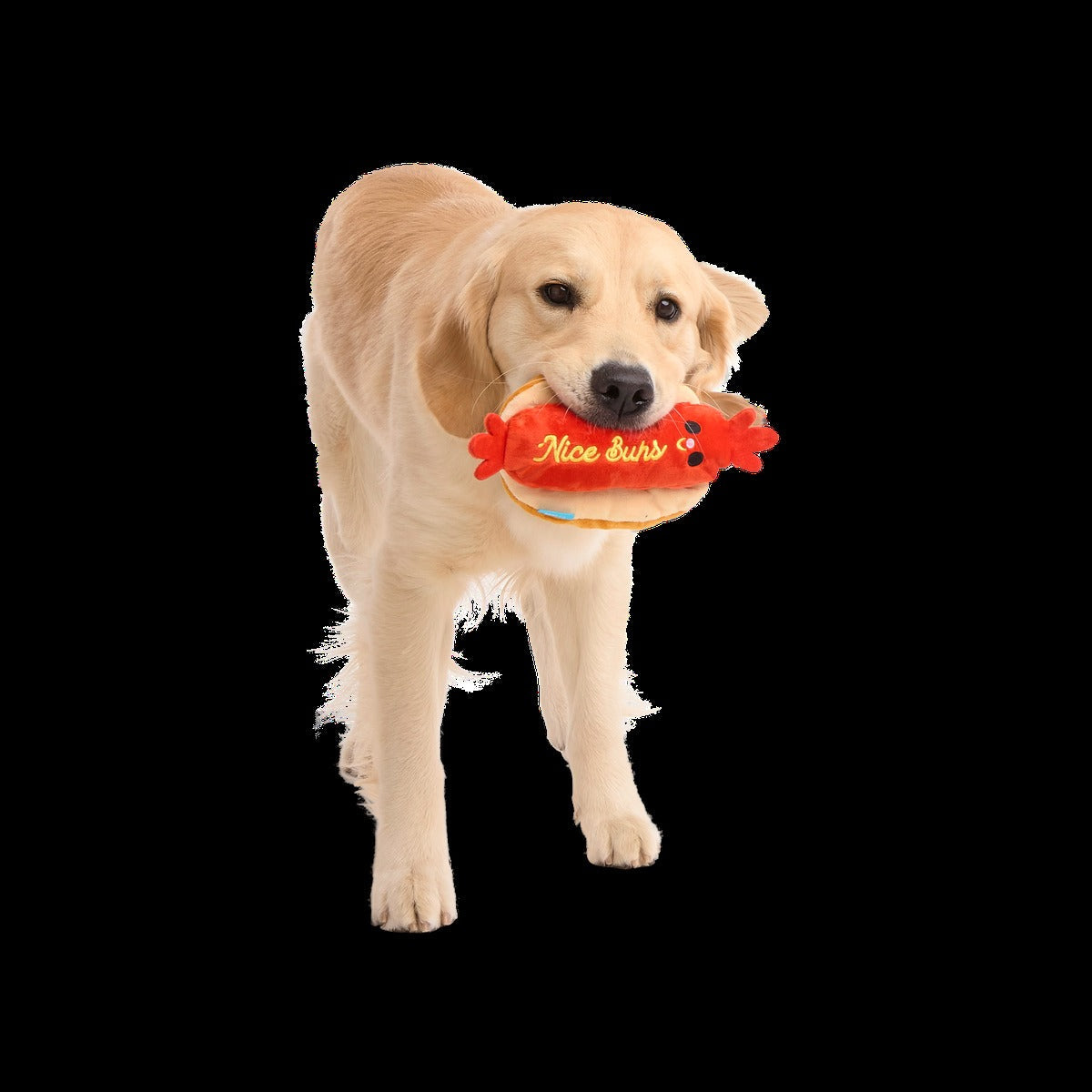 Frank Flirter Plush Tug Dog Toy