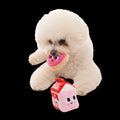 Squeak Heart Snack Plush Multi-Part Dog Toy