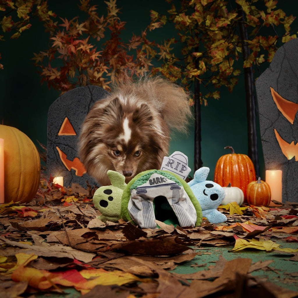 Now You See 'Em Mausoleum Plush Multi-Part + Enrichment Dog Toy